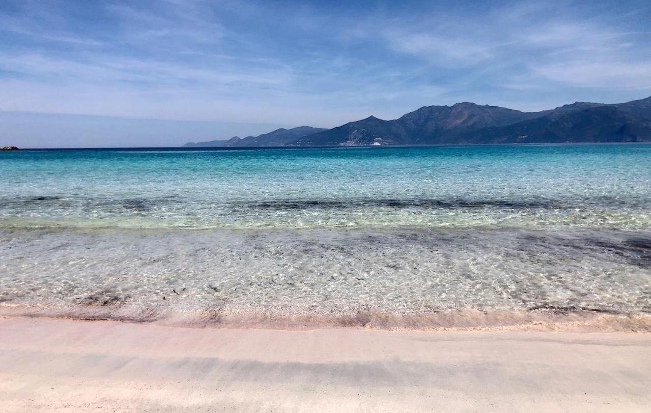 Studio, Vue Sur Mer Et Montagne Saint-Florent  Buitenkant foto
