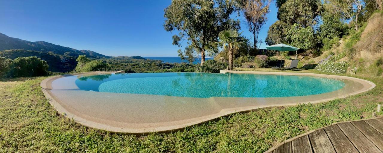 Studio, Vue Sur Mer Et Montagne Saint-Florent  Buitenkant foto